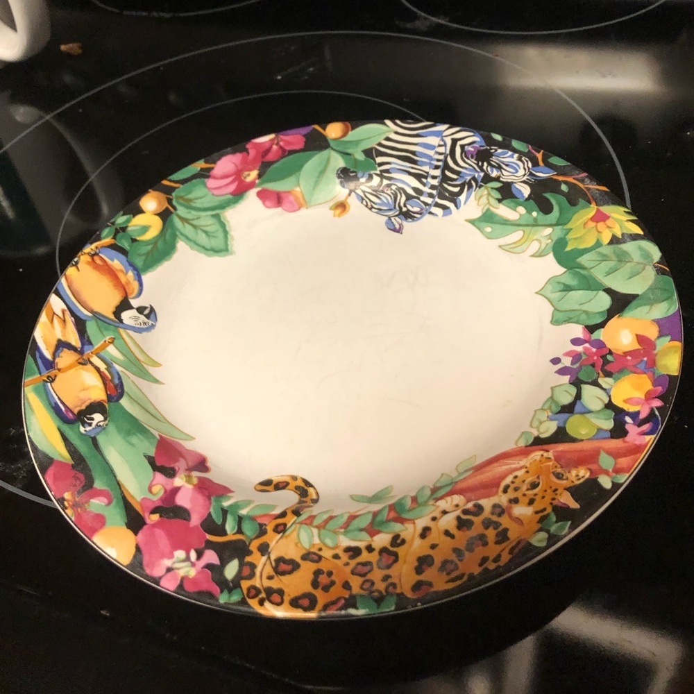1993 Rainforest by Sue Zipkin Plate- 495 $15 or $13 w/offer